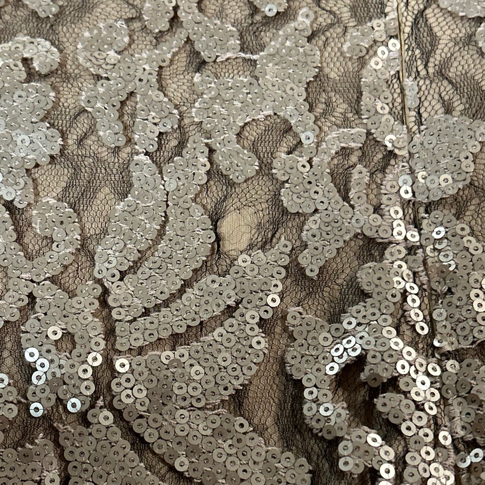Stunning Adrianna Papell evening gown size 4. - Picture 7 of 8